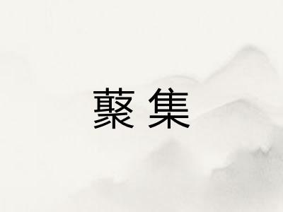 藂集