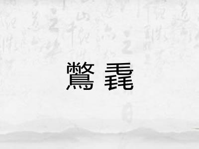 鷩毳