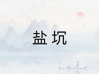 盐坈