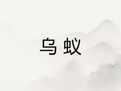 乌蚁