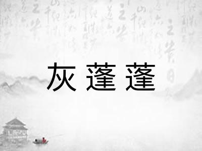 灰蓬蓬 灰蓬蓬