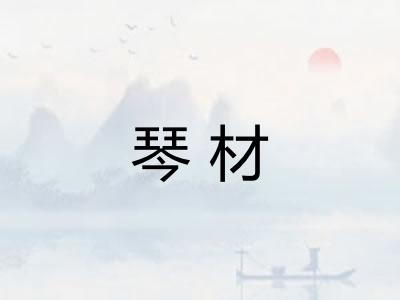 琴材