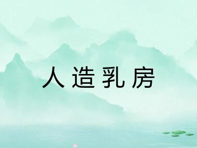 人造乳房 人造乳房