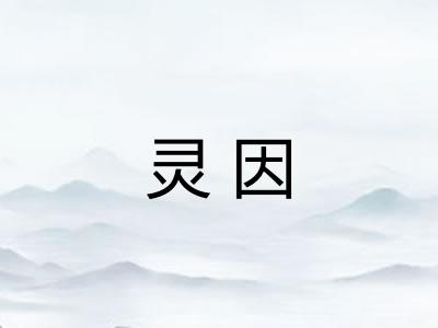 灵因 灵因