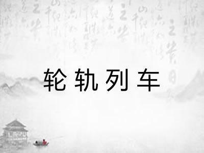 轮轨列车 轮轨列车
