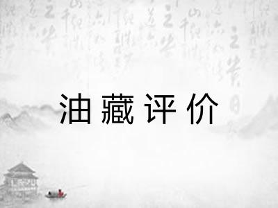 油藏评价