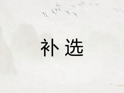 补选 补选