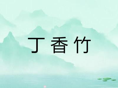 丁香竹