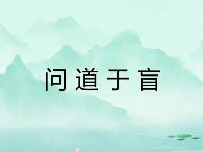 问道于盲