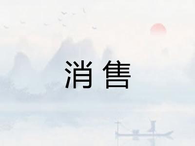 消售