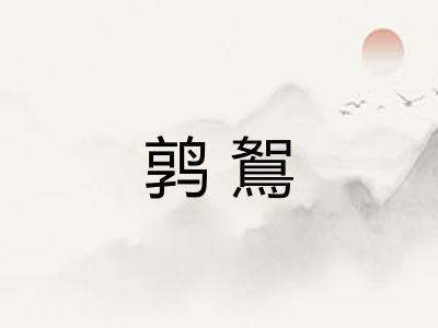 鹑鴽 鹑鴽