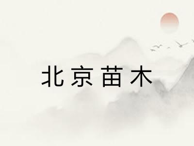 北京苗木 北京苗木