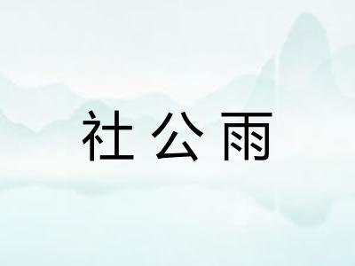 社公雨