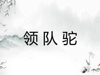 领队驼