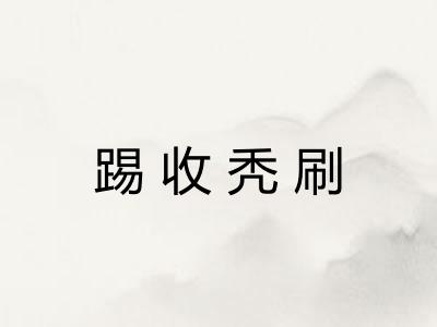 踢收秃刷