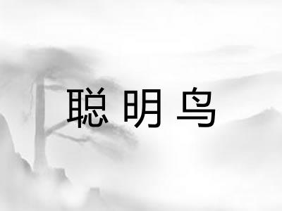 聪明鸟