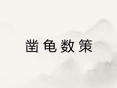 凿龟数策