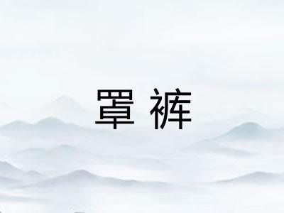 罩裤