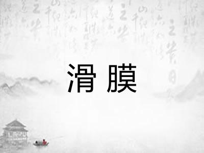 滑膜