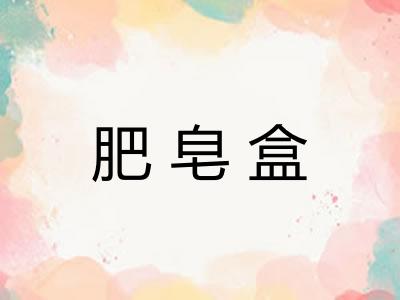 肥皂盒 肥皂盒
