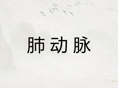 肺动脉 肺动脉