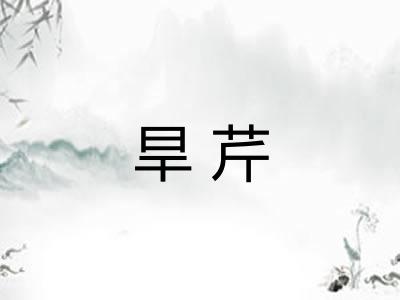 旱芹