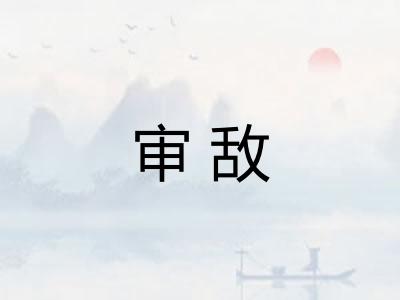 审敌