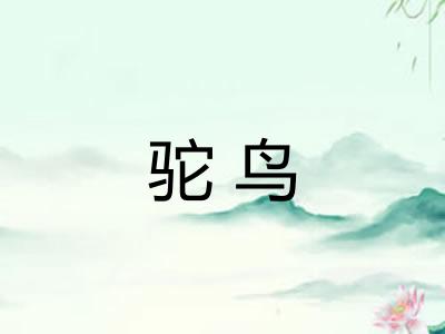 驼鸟