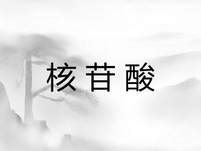 核苷酸