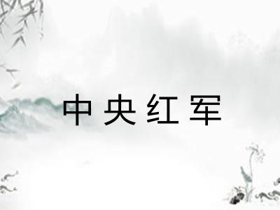 中央红军 中央红军