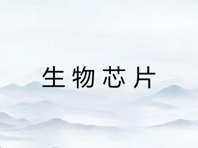 生物芯片 生物芯片