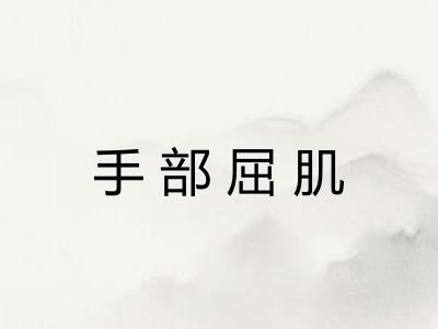手部屈肌