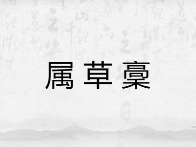 属草稾