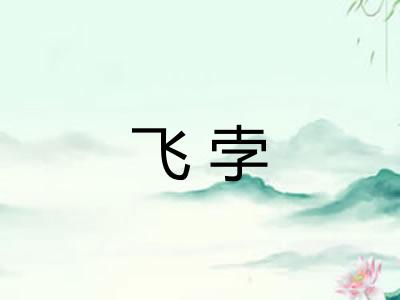 飞孛