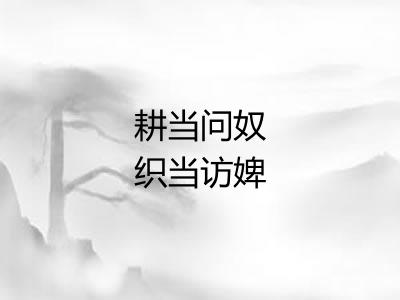 耕当问奴织当访婢