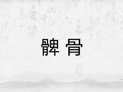 髀骨