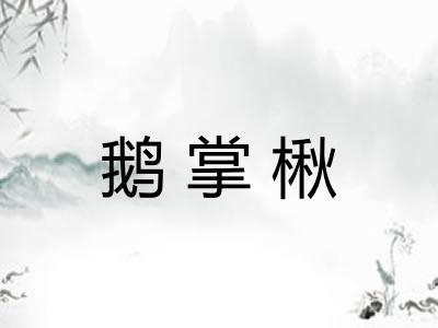 鹅掌楸