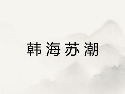 韩海苏潮