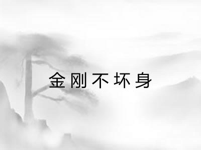 金刚不坏身