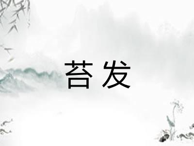 苔发