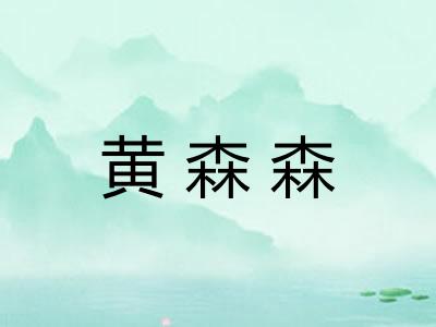 黄森森