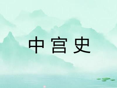 中宫史 中宫史