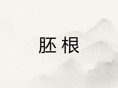 胚根