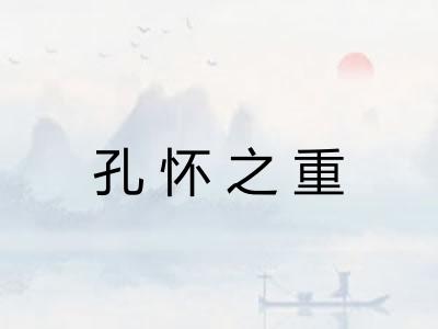 孔怀之重