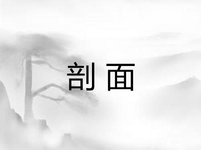 剖面