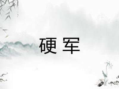硬军