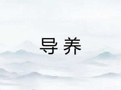 导养