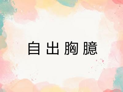 自出胸臆