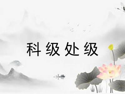 科级处级