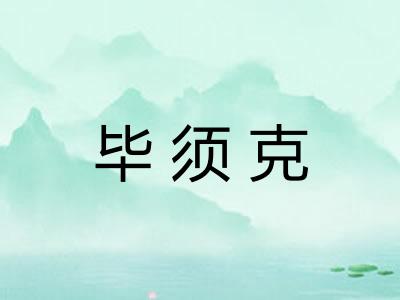 毕须克